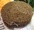 A samll cylinder made of coconut fibres