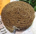 A samll cylinder made of coconut fibres