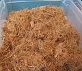 Coconutfibres as planting material instead of (for example) humus