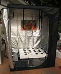 A grow box with a hydroponic system in it