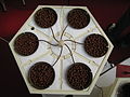 A hydroponic system