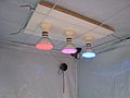 Lamps made of LEDs made for indoor cannabis cultivation