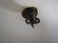 A manky sprinkler of a fire sprinkler system at station Neumarkt in Cologne (Germany)