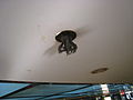 A manky sprinkler of a fire sprinkler system at station Neumarkt
