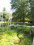 The Wasserterassen (water terraces) in the Rheinpark in Cologne (Germany)