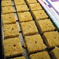 Cubes made of rockwool for indoor cannabis cultivation