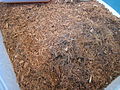 Shredded coconutfibres as planting material instead of (for example) humus